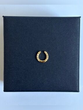 FOR LOCKET: Horseshoe charm